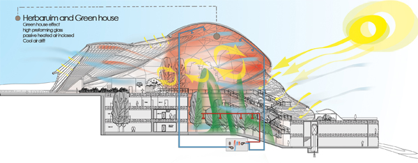 section_through_the_herbaruim_tal_al_rumman_botanic_research_complex.jpg