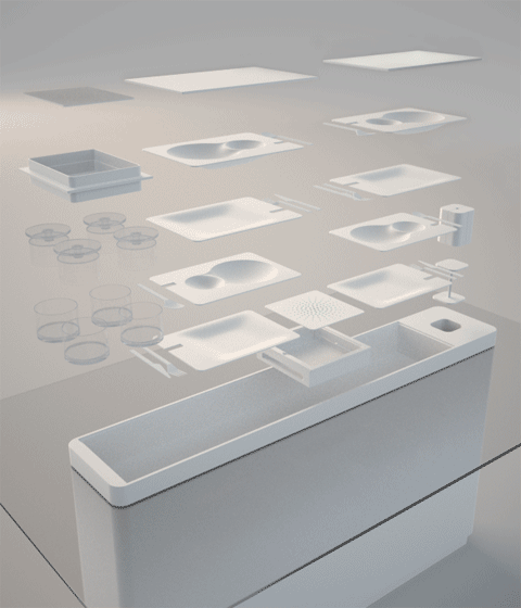 vitamins_pod03.gif
