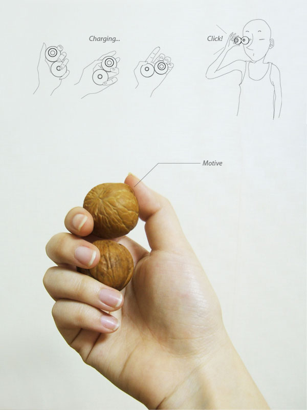 walnut_03copy.jpg