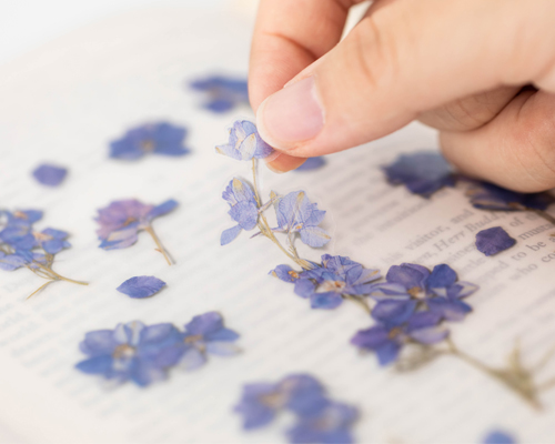feel the nature with the pressed flower sticker that can be attached anywhere