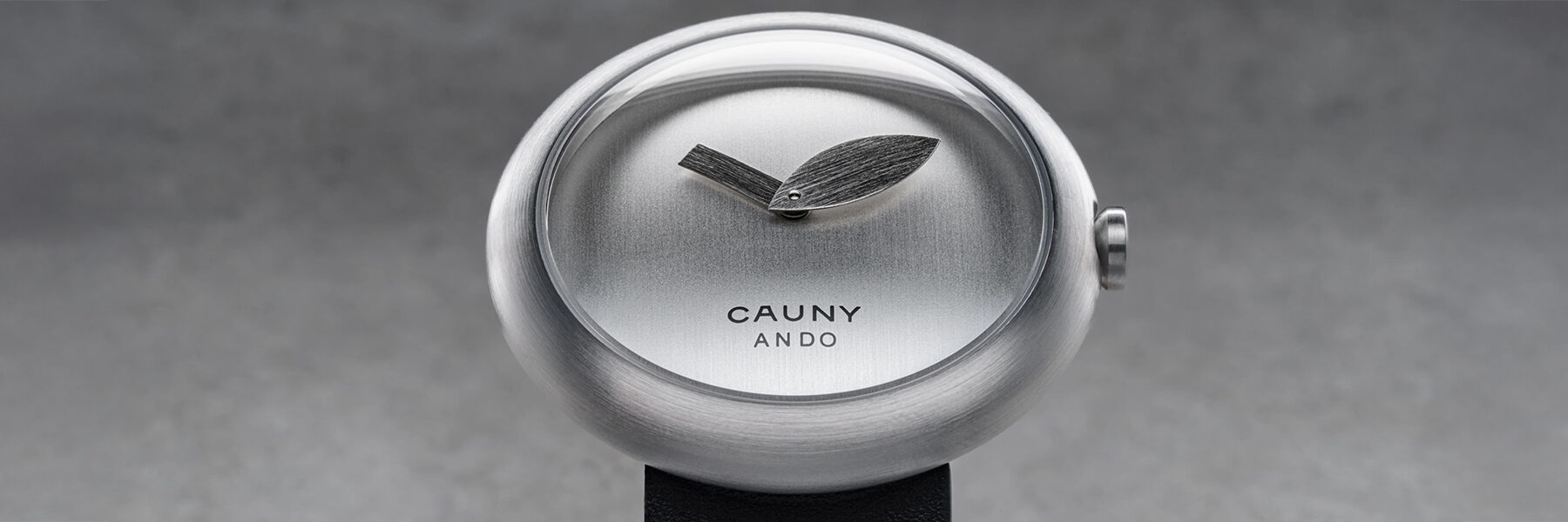 Cauny