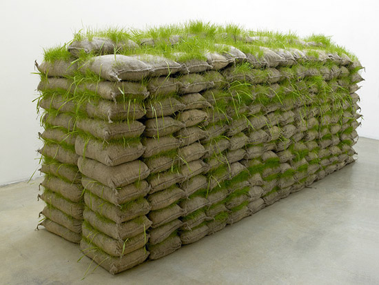 Hanging Garden By Mona Hatoum Hanging Garden By Mona Hatoum