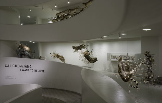 cai guo qiang: 'I want to believe'