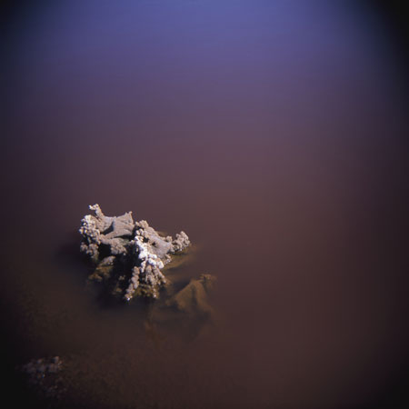 entropic membranes by kimberly jones