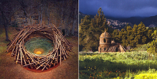 designboom contemporary: natural architecture