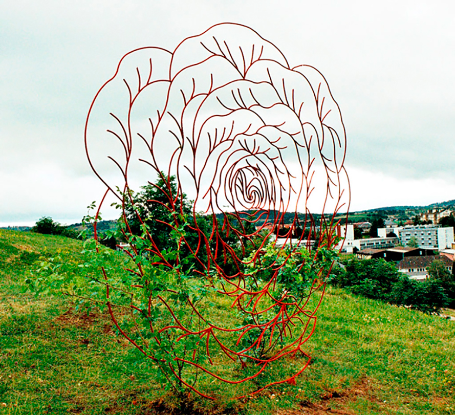 Eight Brazilian Roses and some thorns for Masaoka Shiki: A Rose Omen ...