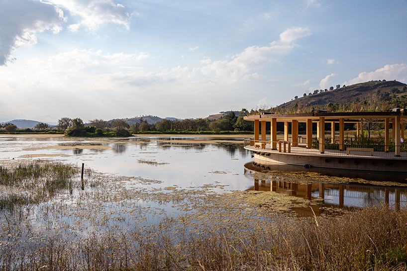 circular timber pavilion anchors wildlife and wetland restoration park in mexico