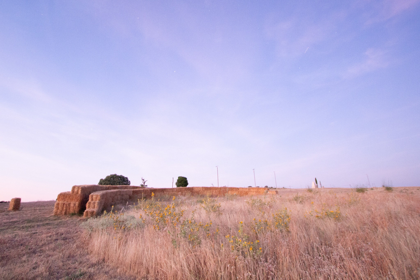 straw walls shape amphitheater, experimental garden and walking path