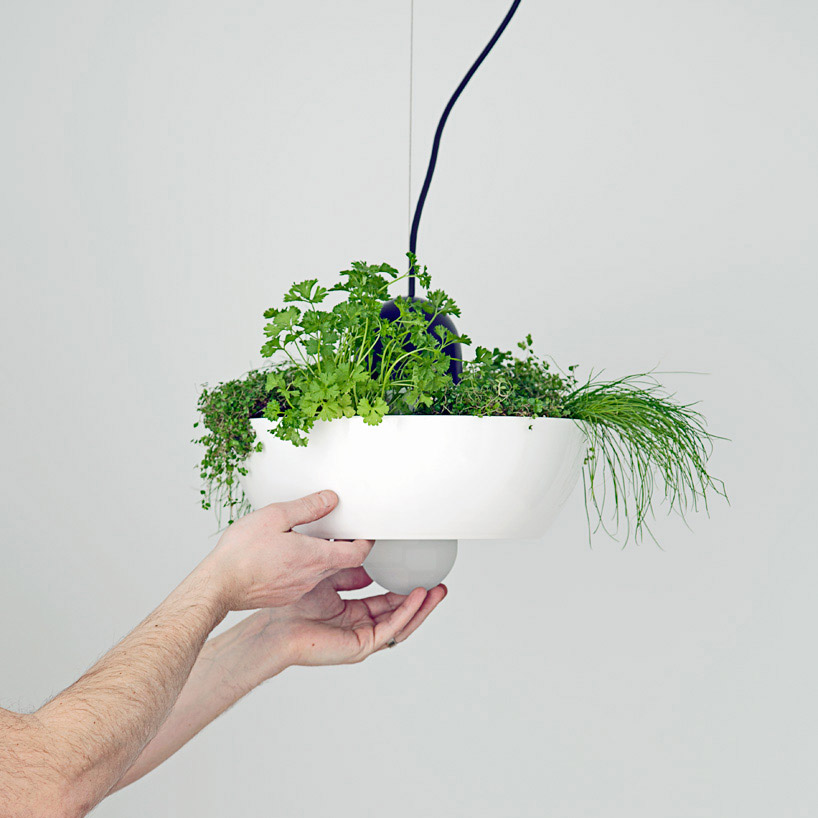 Object Interface Lighting versatile well light by object interface illuminates suspended vegetation