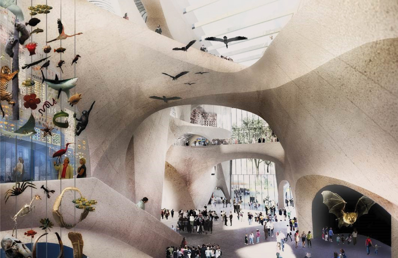 american museum of natural history reveals expansion plans