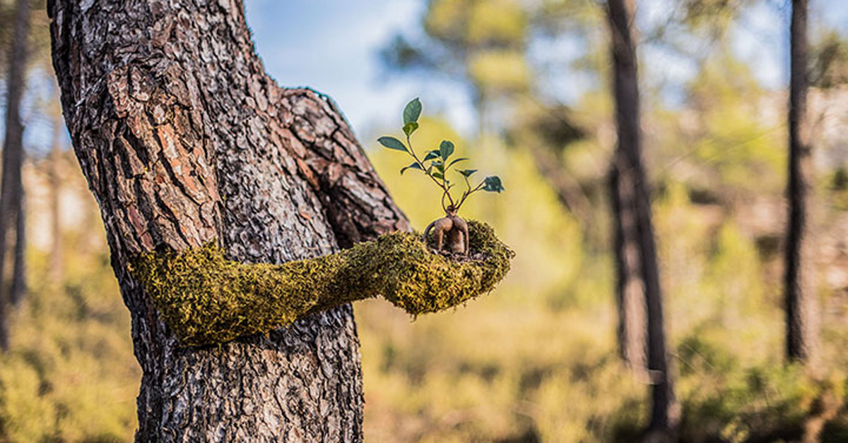 monsieur plant 's human nature, an evolution of a human being into a tree