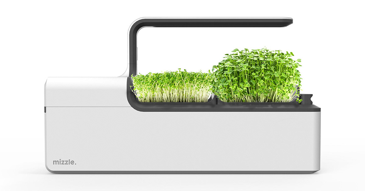 the mizzle microgreen grower puts fresh produce in any kitchen