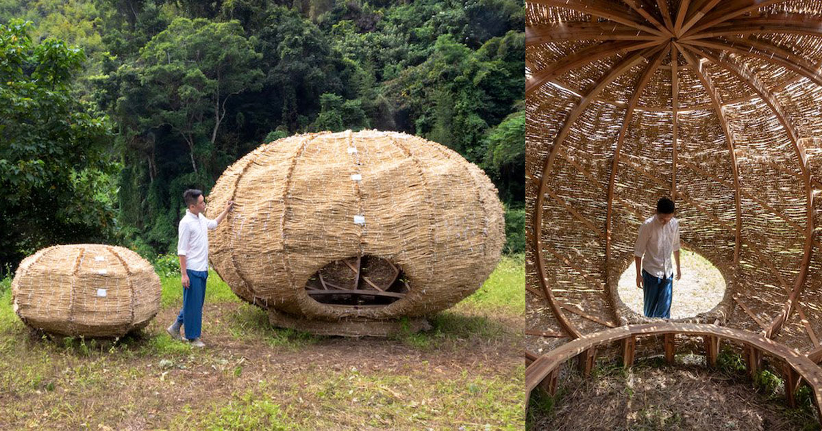 cheng tsung feng weaves rice straws to build a 'tea nest' in taiwan
