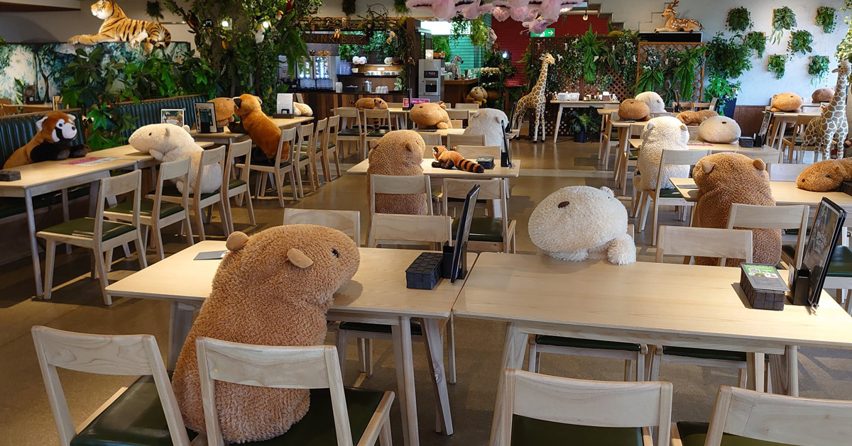 japanese zoo employs capybara stuffed animals to secure social