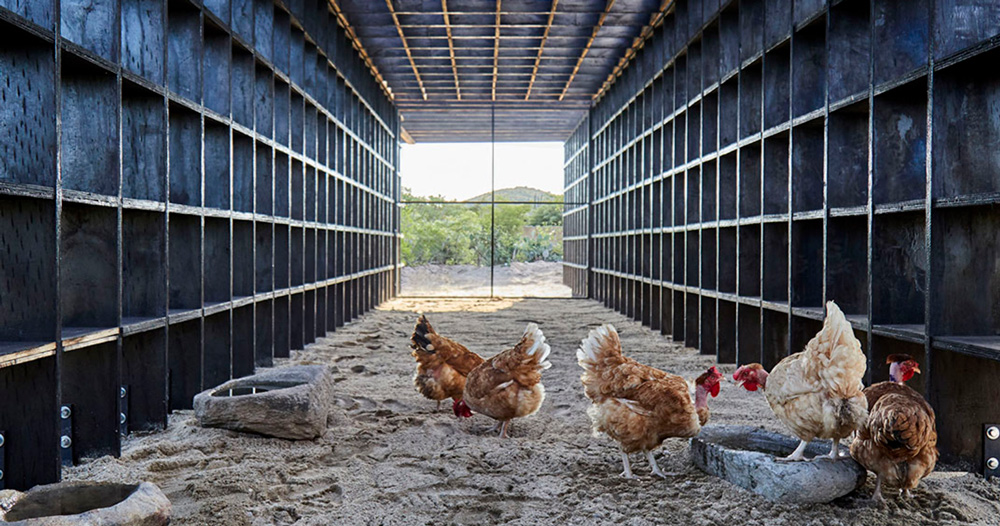 kengo kuma designs chicken coop for casa wabi arts center