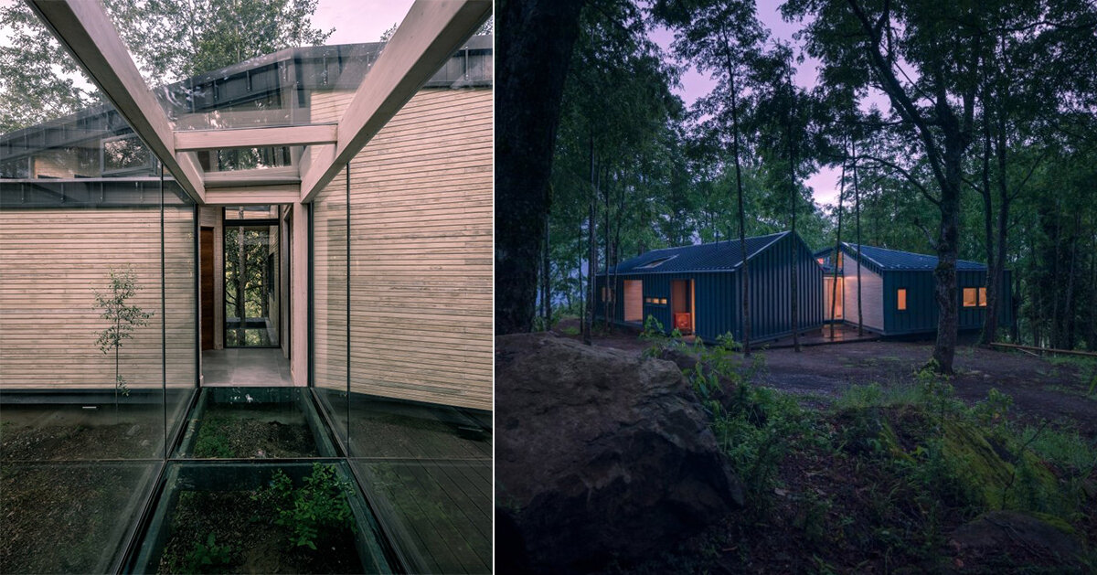 Trangular Forest triangular introduces its corrugated steel-clad forest house in patagonia
