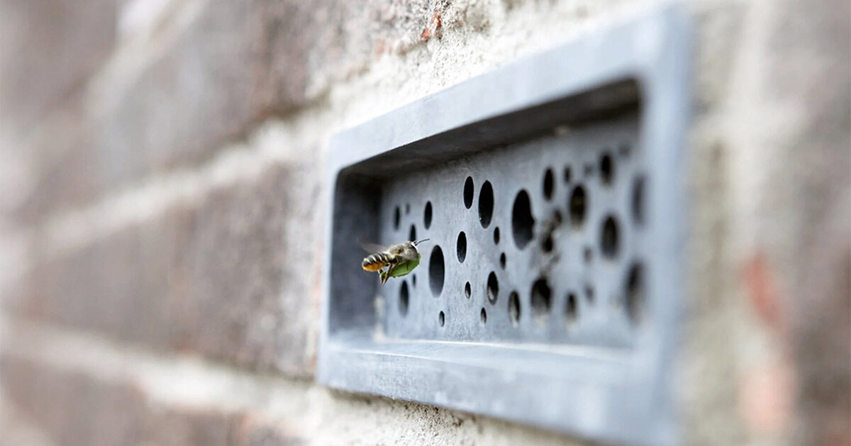 multipurpose bee bricks with tiny holes provide shelter for solitary bees