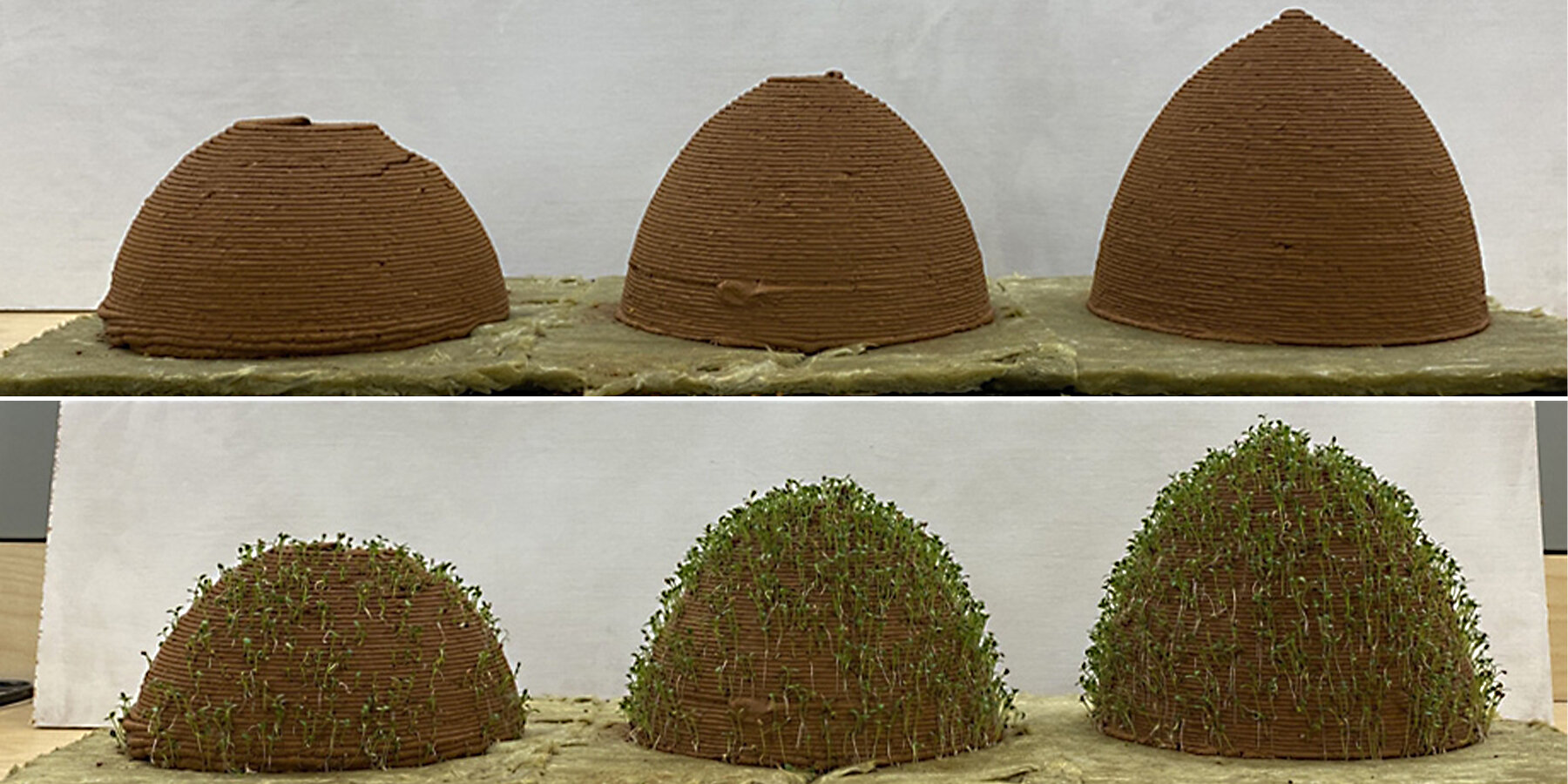 university of virginia develops new bioconstruction technology