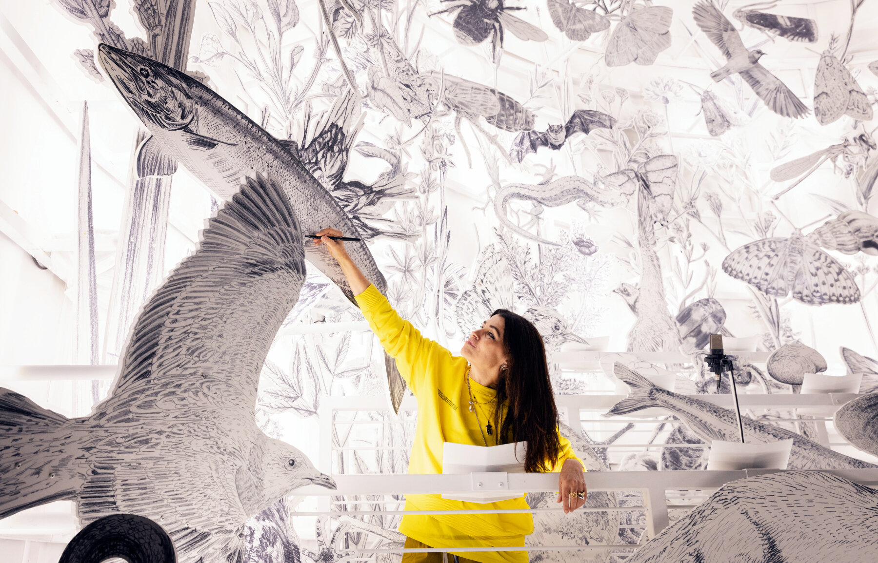 es devlin draws 243 endangered species for her illuminated dome 'come home  again