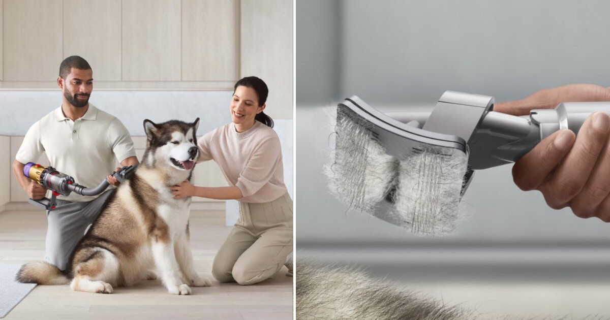 Dyson Pet Grooming Kit Review CNN Underscored atelieryuwa.ciao.jp