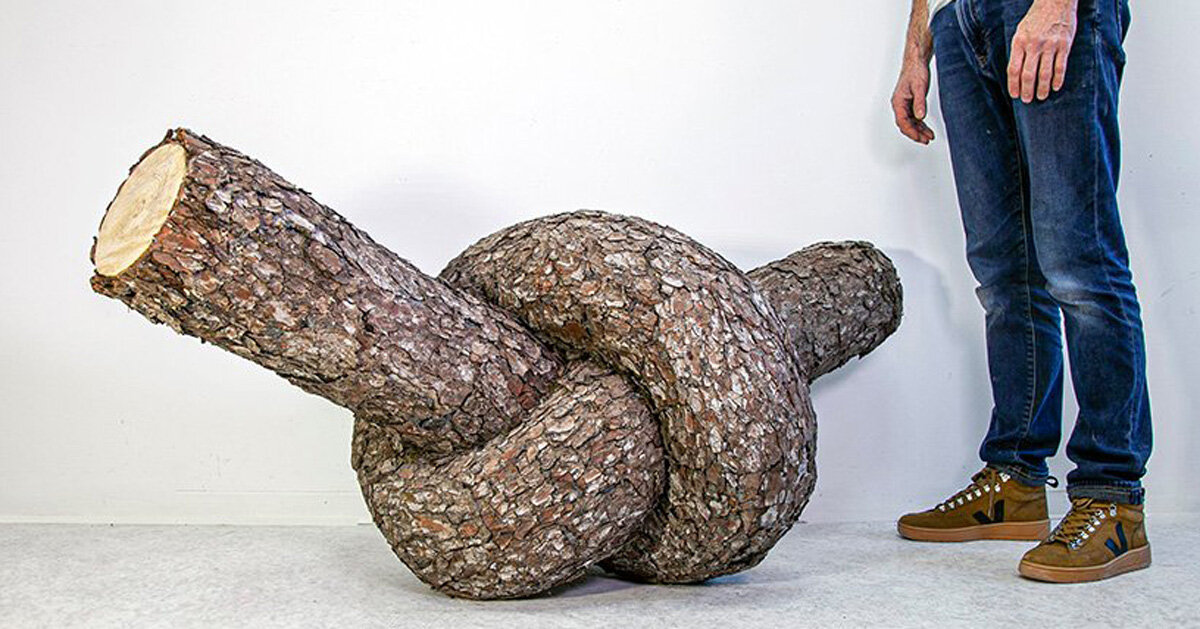 monsieur plant contorts fantastical tree trunk sculptures