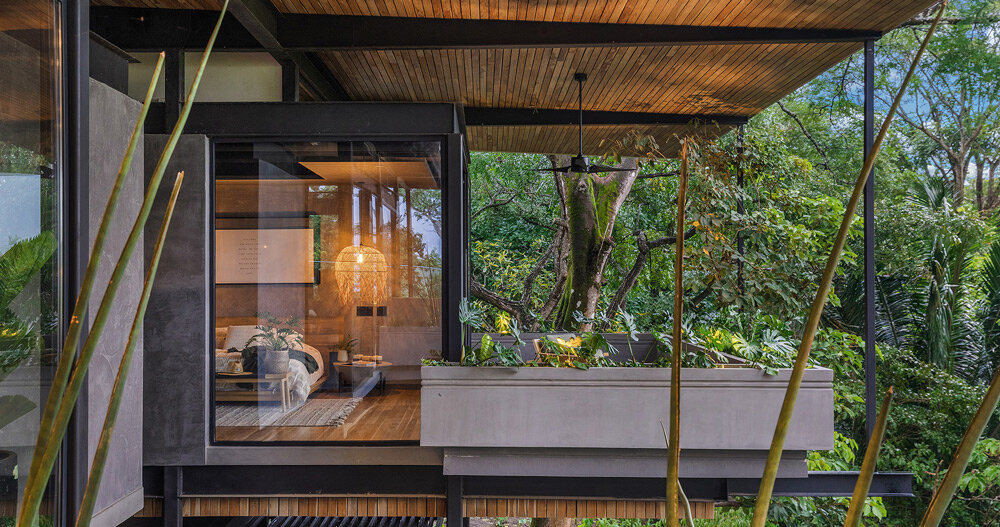 ‘raintree house’ de studio saxe es un oasis contemporáneo en costa rica