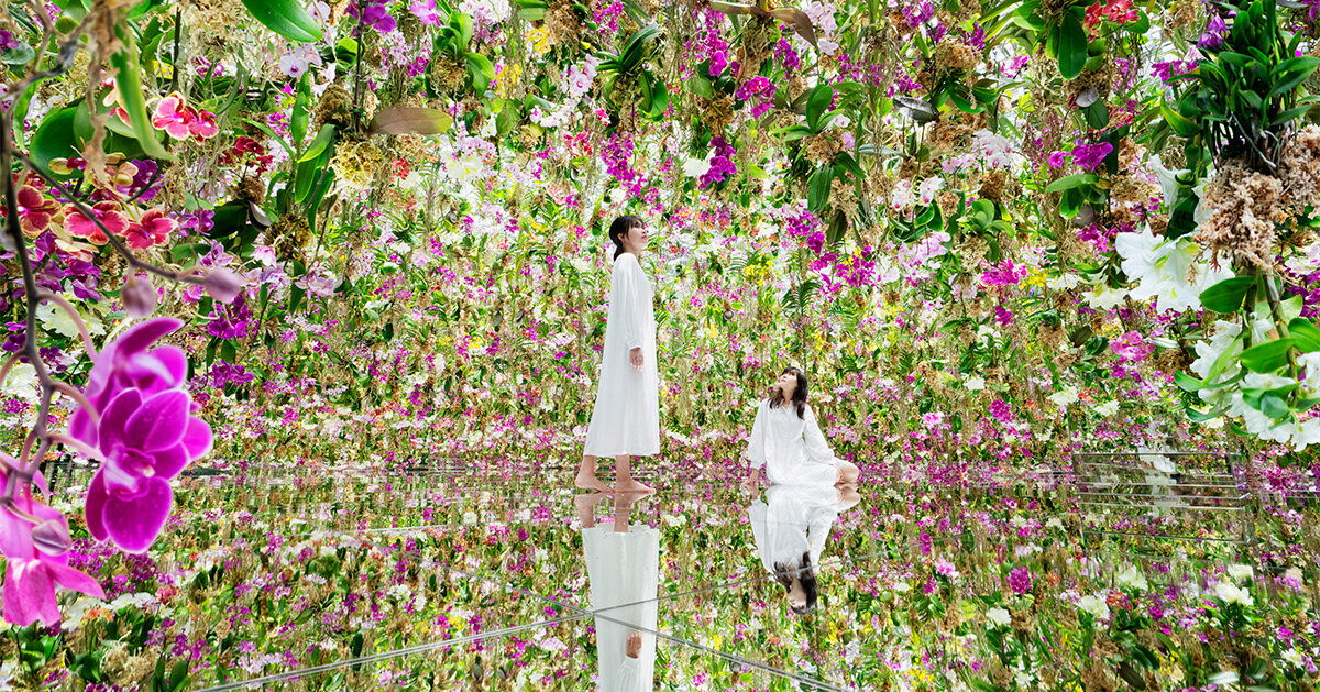 teamLab expands tokyo digital museum with immersive backyard