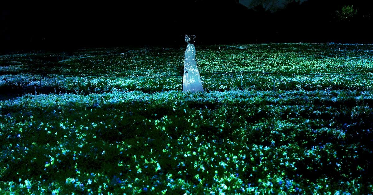 置物  scope Art Flora EXPLORE SCIENTIFIC 10x60 Finder and Guider Scope with