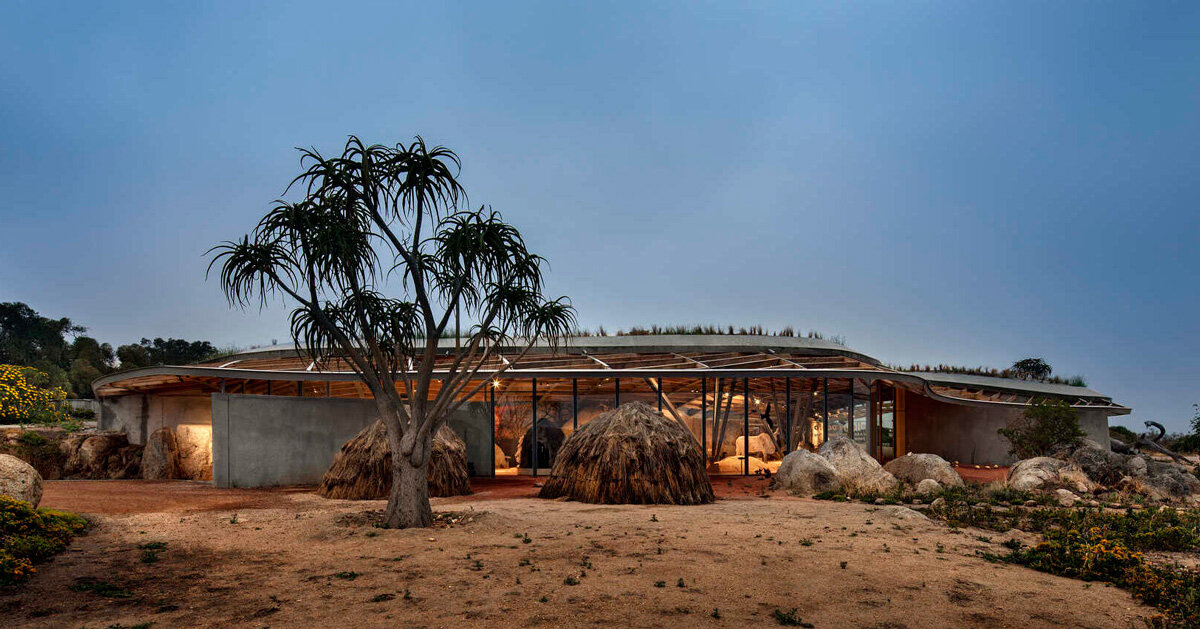 undulating cultural center nestles along granite ridge in south africa - Vimarsana News