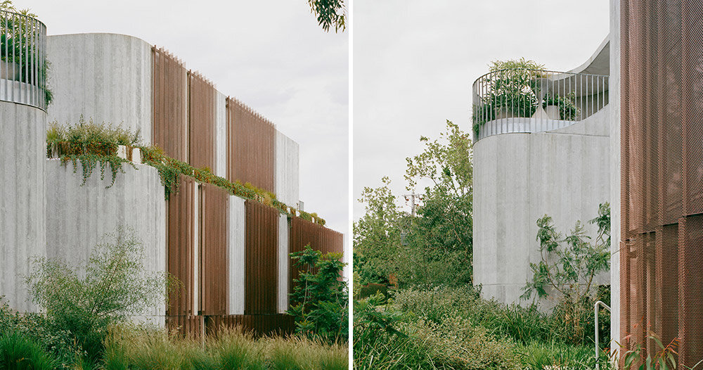 edition office's fenwick homes balance concrete & delicate copper