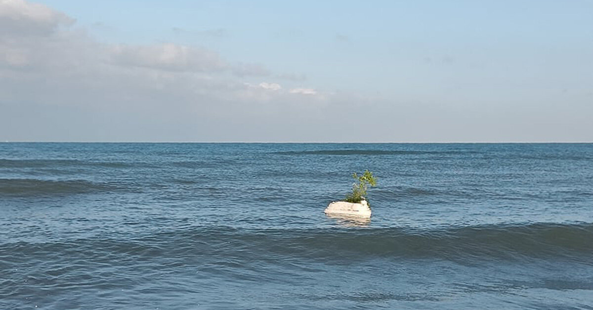 biodegradable island cultivates marine life in the mediterranean sea - Vimarsana News