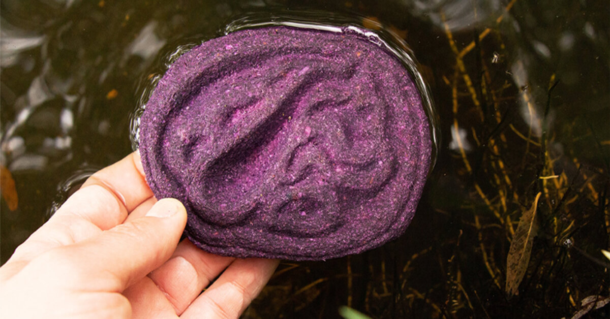 Del Rio Detect 'colores del rio' is a bio-tool that can detect contaminated water