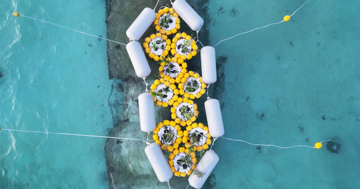 MIT's self-assembly lab harnesses the power of the ocean to grow islands and coastlines - Vimarsana News
