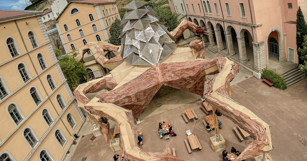 kraken installation made of reclaimed wood spreads its tentacles in lyon - Vimarsana News