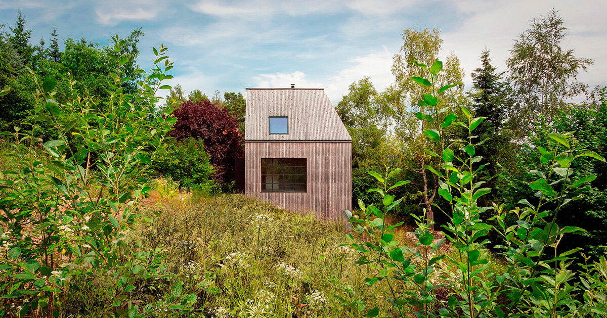 timber-clad cottage jaro by edit! interacts with forest sloping site in the czech republic