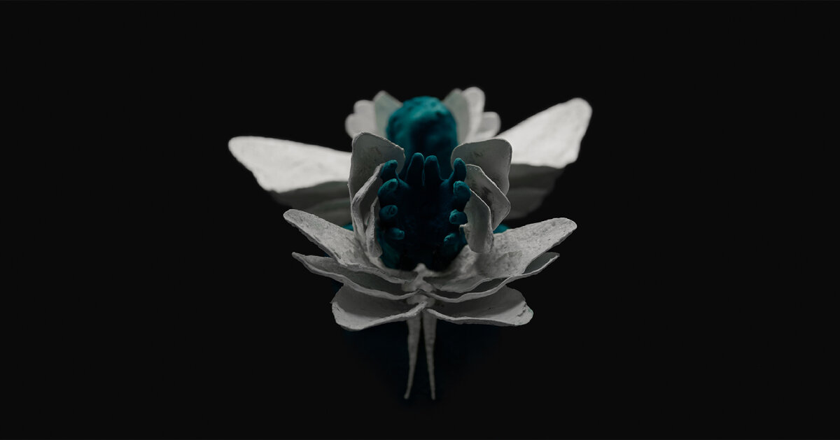 La combinaison de noyade dans les Abysses de Sruli Recht transforme l’eau en corail sur la peau