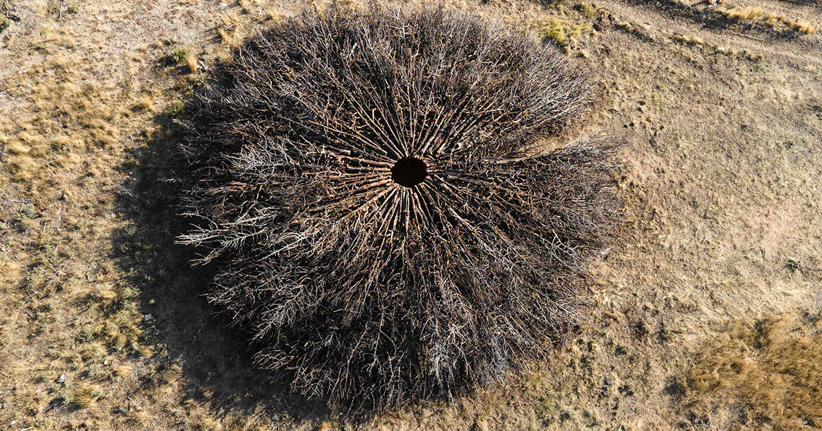 nomad studio’s charred juniper ring marks the scar of a wildfire in northern spain