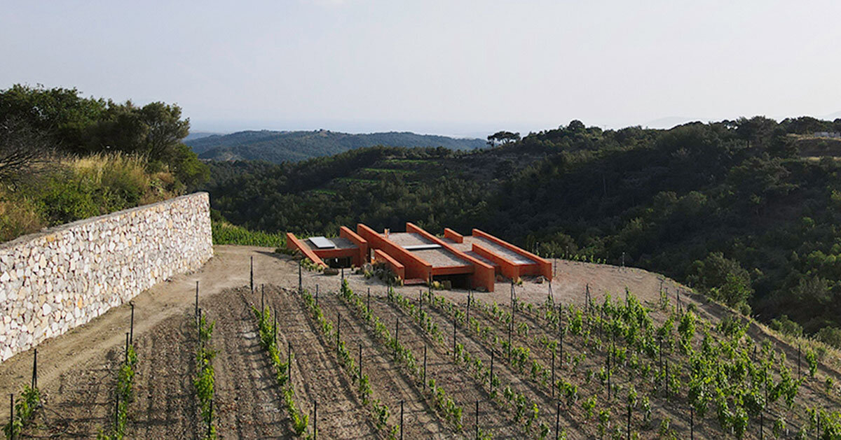 red earthen-plaster office's linear volumes trace grapevine rows in rural turkey