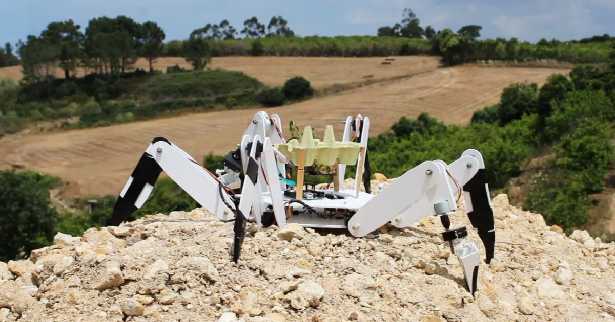 tree-planting robot saves burned land from deforestation by putting seedlings in the ground