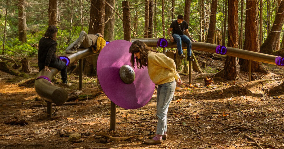 daily tous les jours’ installation attunes human voices to forest ecologies in canada