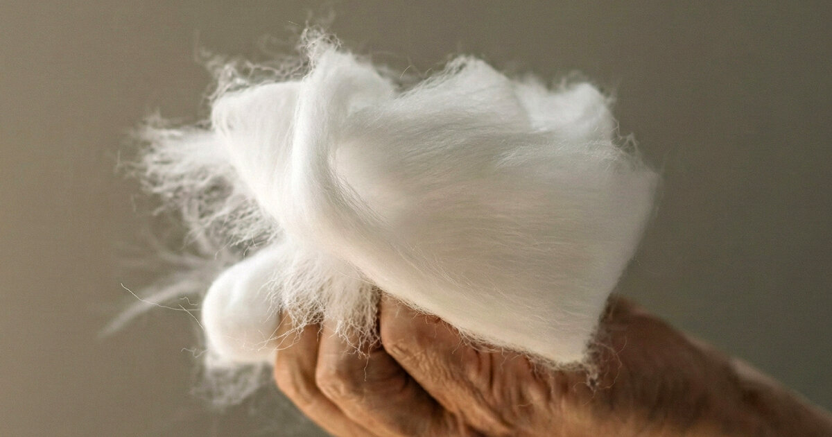 proteins from discarded feathers, cashmere and wool return as usable garment fibers