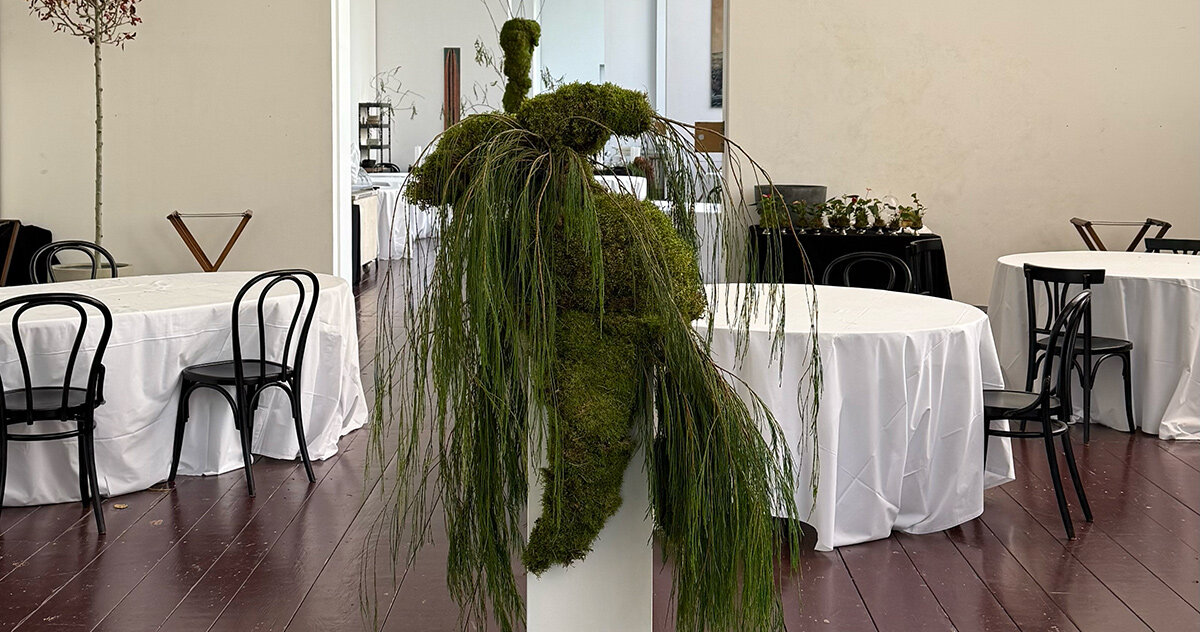 taubenkobel brings VOGELFREI culinary pop-up to vienna through botanical and light art