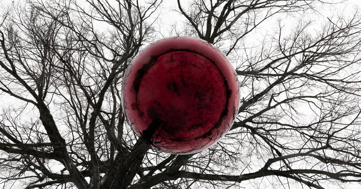 reflective red sphere suspends from century-old tree in gregory orekhov's land art installation