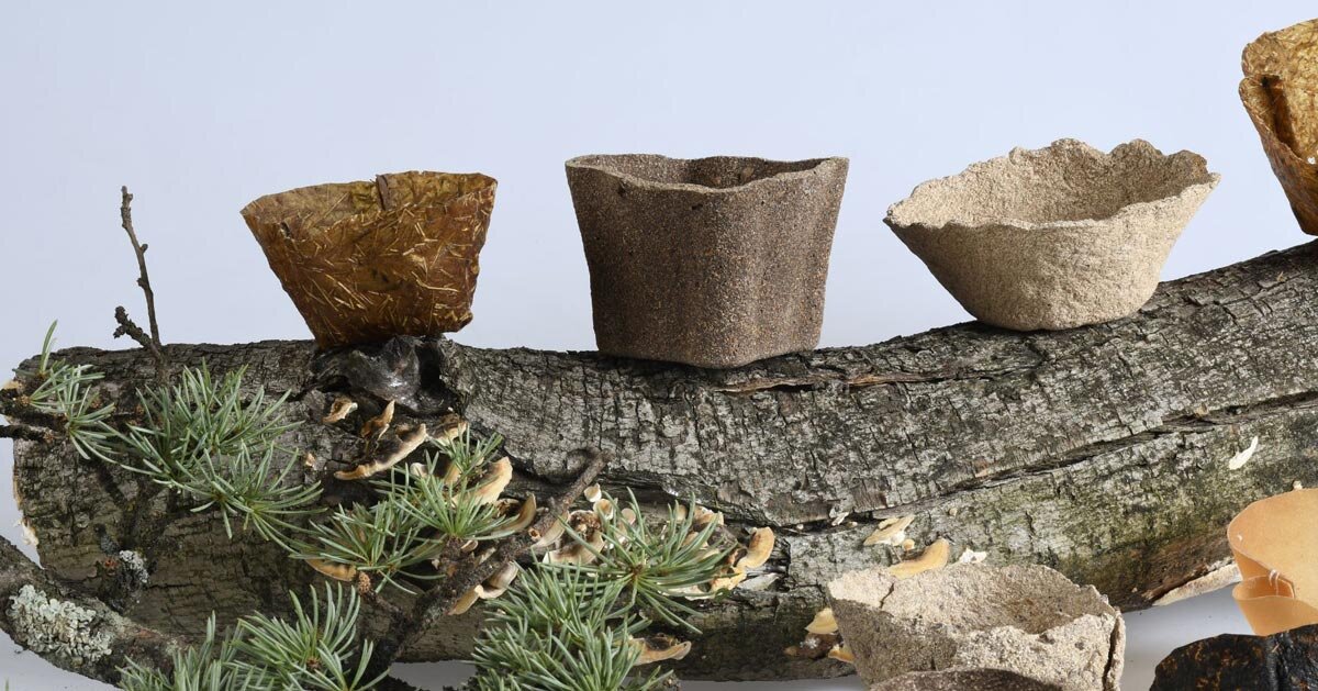 reclaimed organic waste composes plastic-free biodegradable plant pots