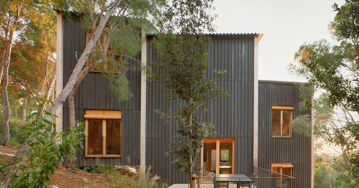 lightweight timber house in spain interlaces three raised volumes within tree canopy
