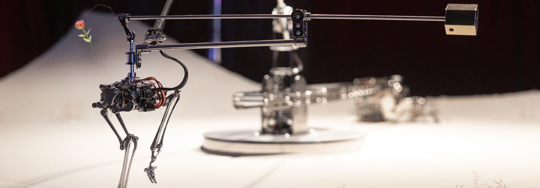 robotic bird by korean artist duo erases its own footprints as social commentary