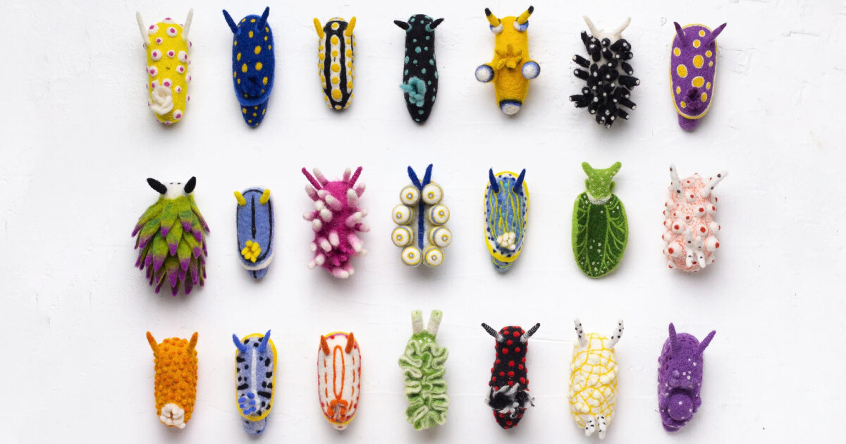 hand-felted sheep wool forms the library of vibrant nudibranchs depicting marine life