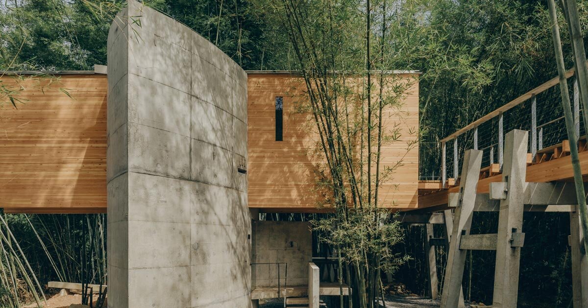 vernacular bridge craftsmanship informs micro-museum set within bamboo grove in china