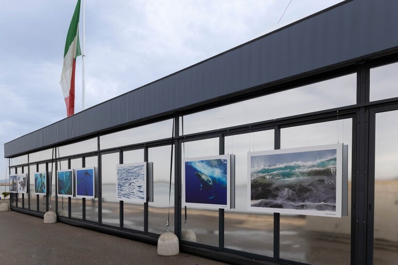 ‘we are all marine animals, we just forgot’: photographer enzo barracco at the ocean&climate village