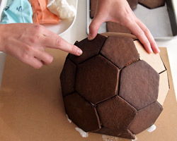 scout regalia: SR gingerbread geodesic dome